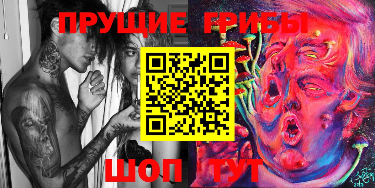 Псилоцибиновые грибы Cubensis  Вход с VPN  Кулебаки 